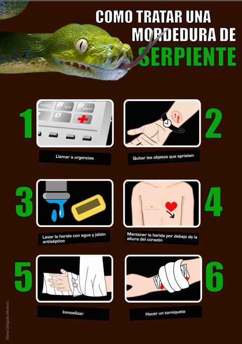 Cómo tratar una mordedura de serpiente